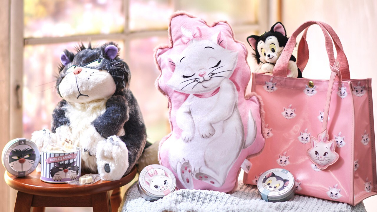 ディズニー ルシファー ぬいぐるみ 巾着 ティッシュケース 2点セット