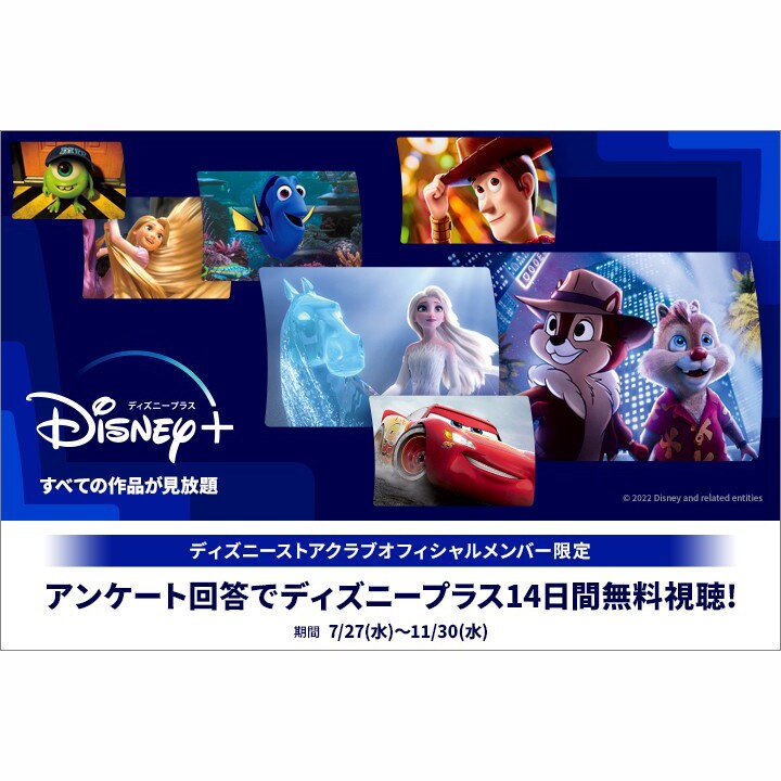 発送2４日以降　新品　ドナルド　ディズニーストア　ネット限定　バースディ送料無料 sub1-1.jpg