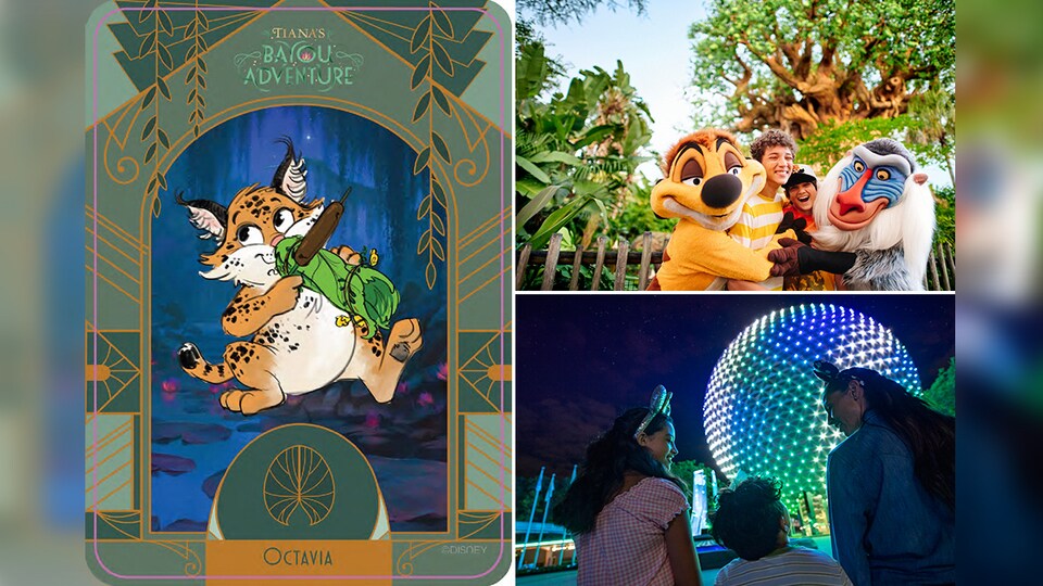 WDWアニマルキングダム限定】プンバァ+ティモン