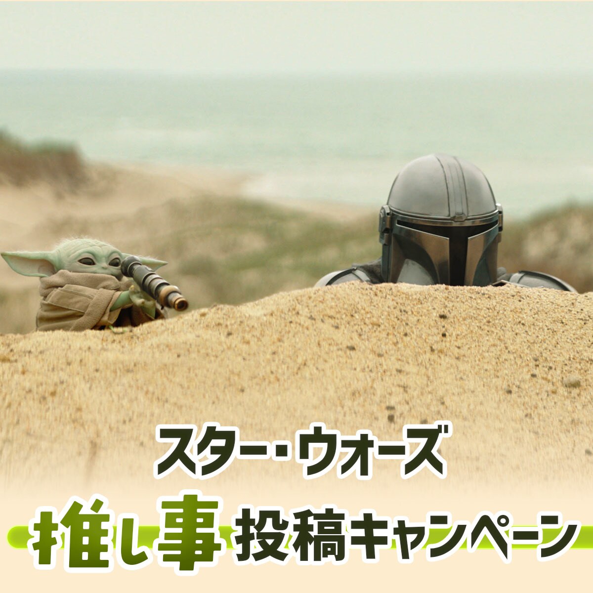 スター・ウォーズ推し事投稿キャンペーン｜スター・ウォーズの日