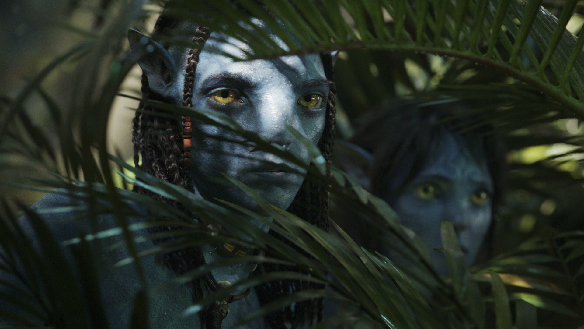 Quantos filmes de Avatar serão feitos? 