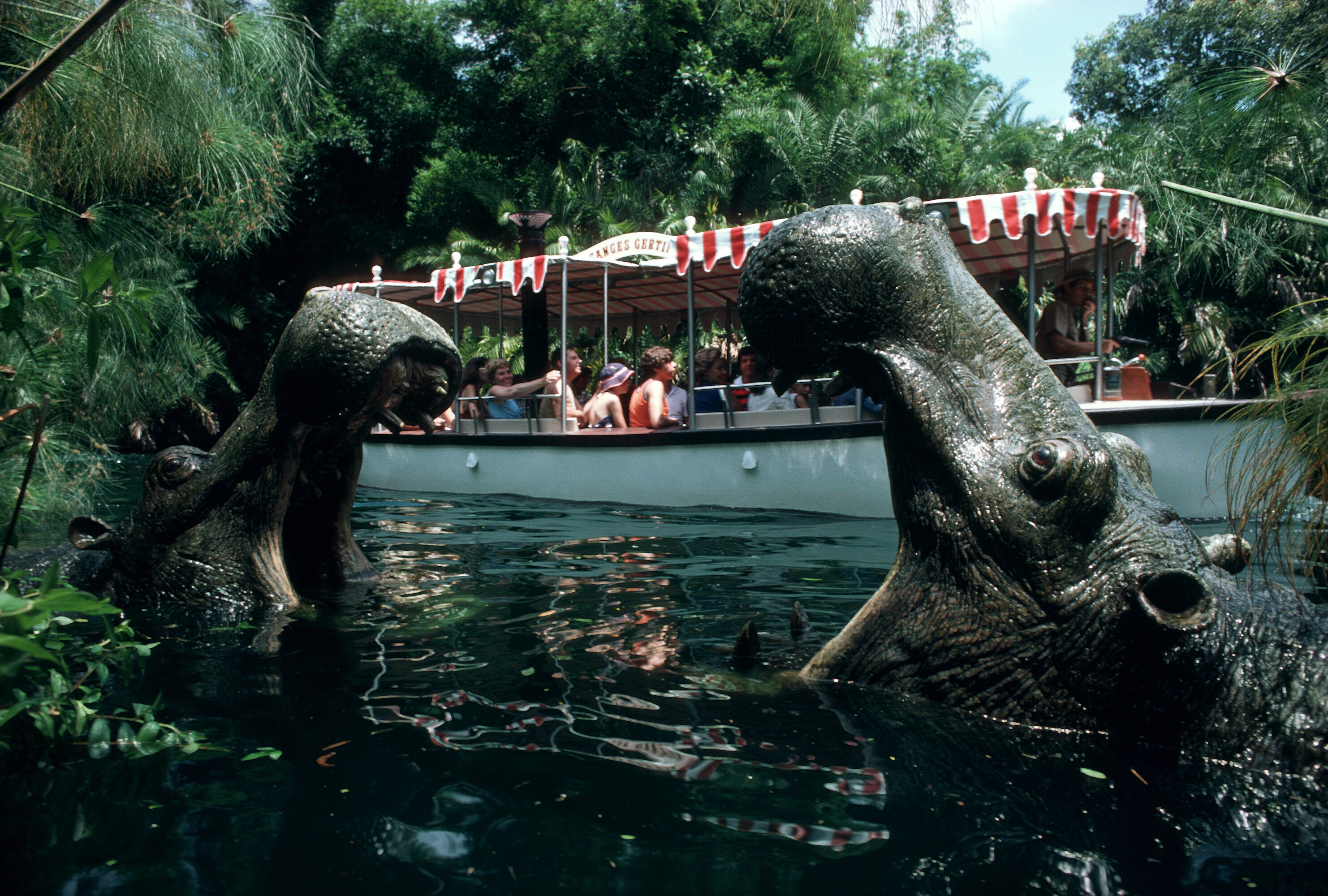 Image of two hippos and a boat from the Jungle Cruise ride.