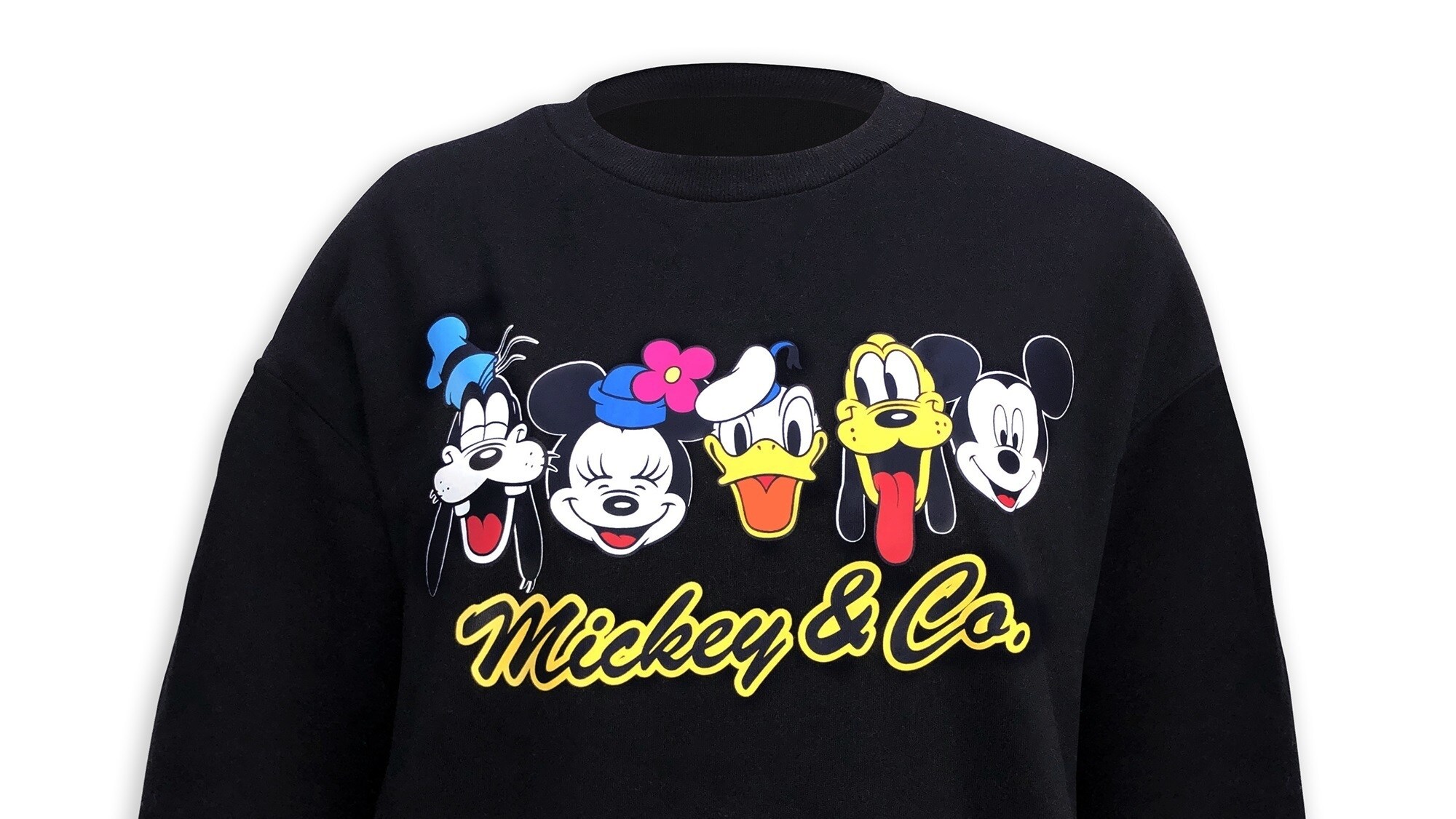 International Friendship Day - Mickey & Co Sweatshirt