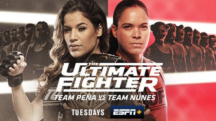 The Ultimate Fighter: Team Peña vs. Team Nunes – Episode 5: Face the Boogeyman