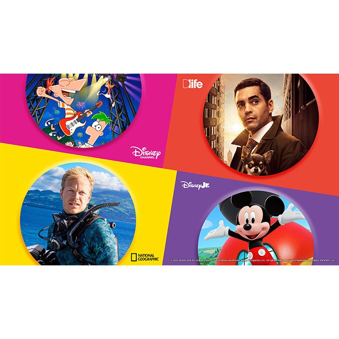 企業情報｜ディズニー｜Disney.jp