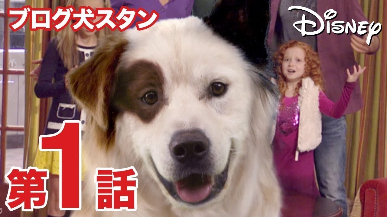 [EBO_VIDEO/4117]ブログ犬　スタン／第1話｜ディズニープラス