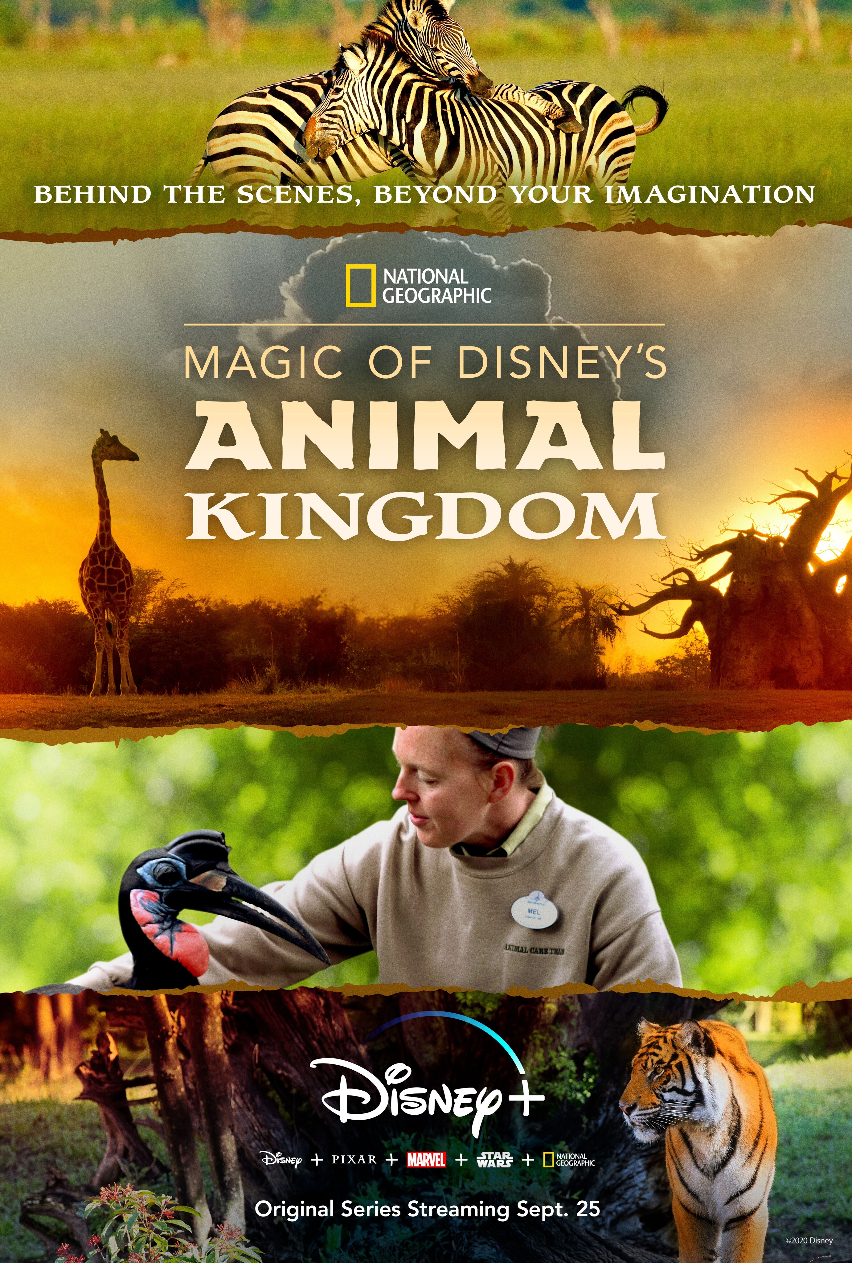 Disney+ To Premiere “Magic Disney's Animal From National On September 25 | DMED Media