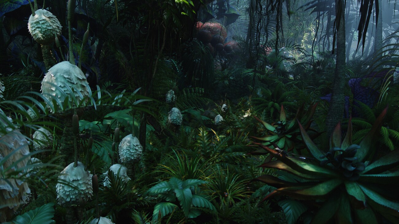 Pandoran Rainforest
