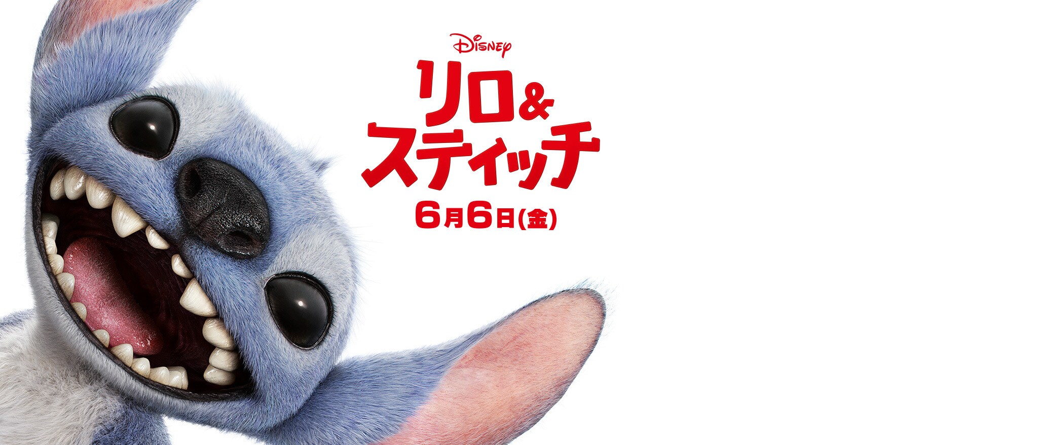 [EBO]HOME｜トップヒーローバナー02 『リロ＆スティッチ』 ｜250313
