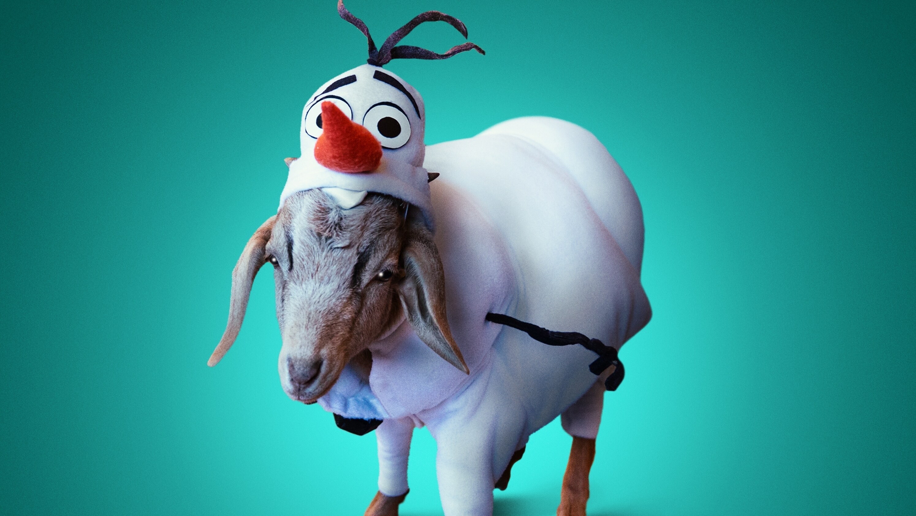 Disney+ GOATs - Olaf
