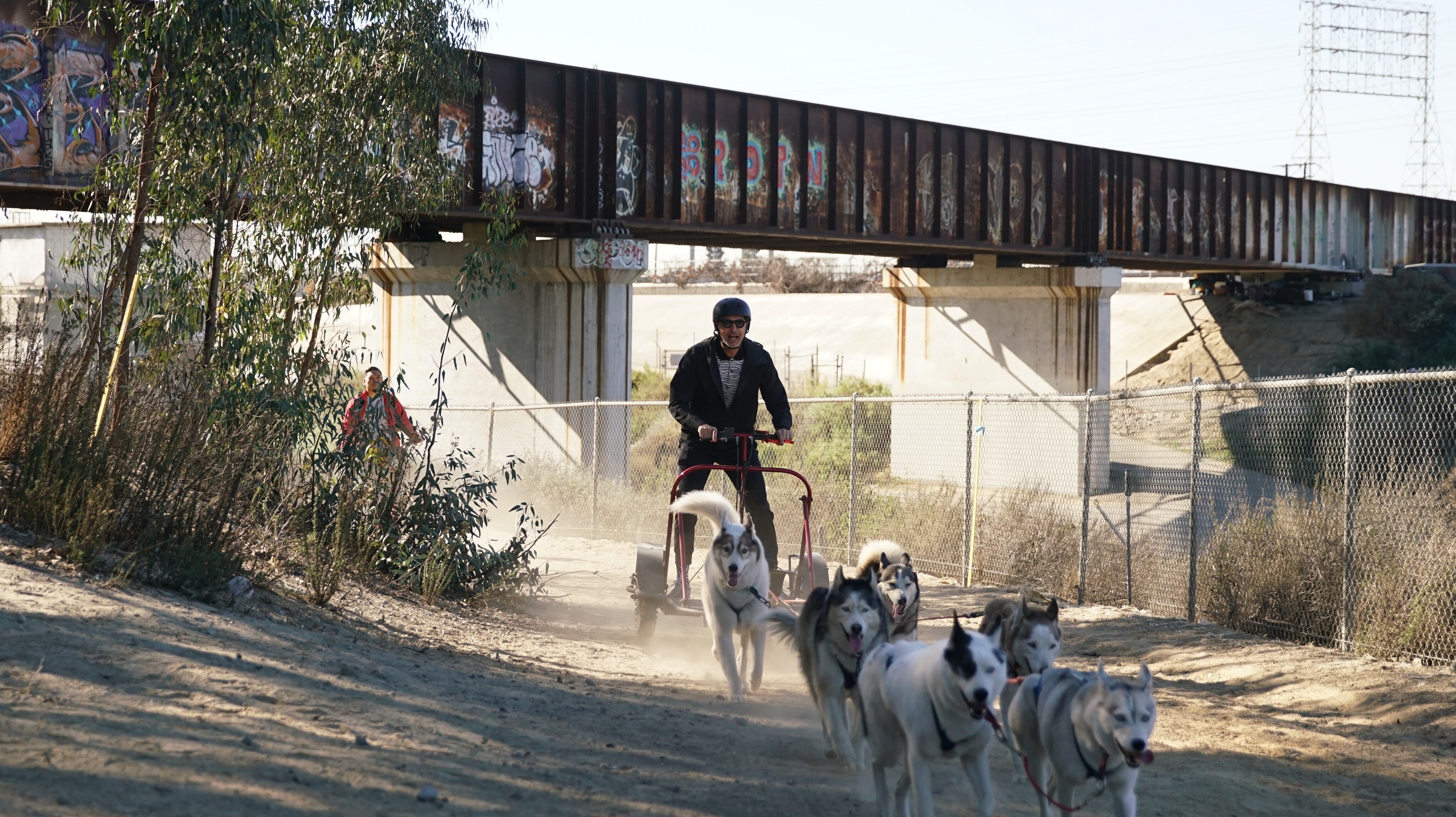 Orange County, CA - Jeff Goldblum urban mushing with a team of huskies. (Credit: National Geographic)