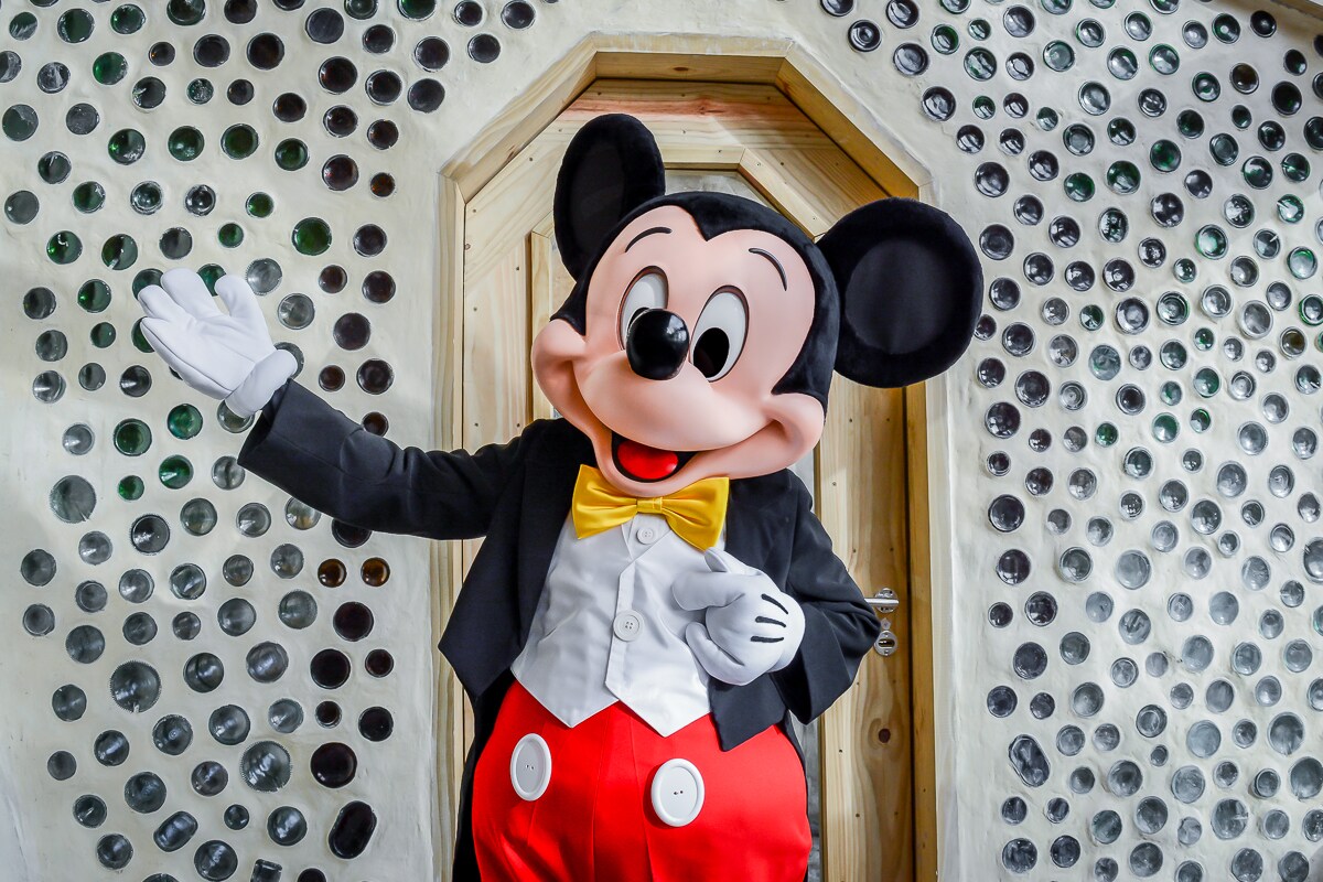 Mickey Mouse - Disney VoluntEARS