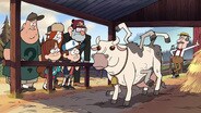 Mabel's Scrapbook: Petting Zoo