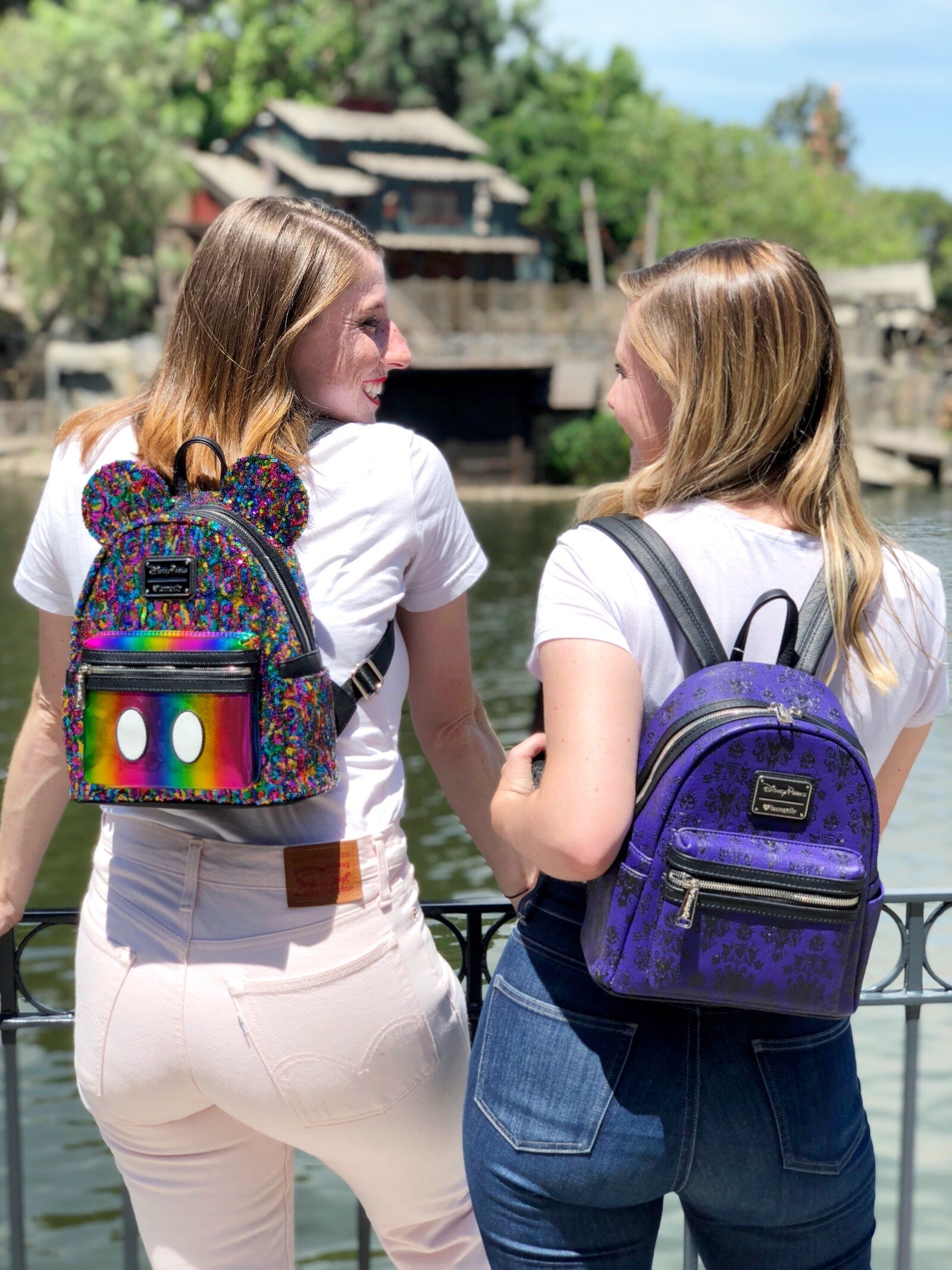 Colorful and Purple Disney Parks back packs