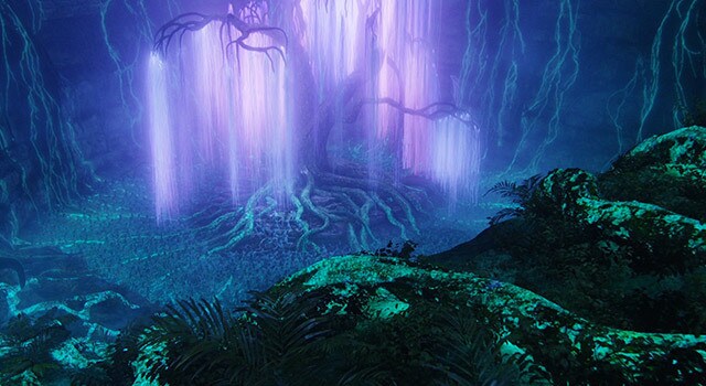 Avatar Zoom Background of The Willow Glade