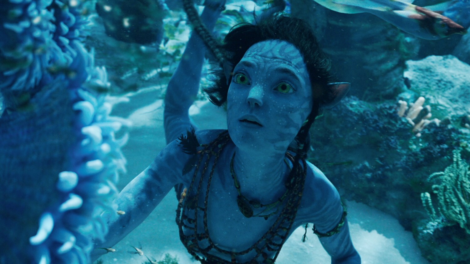Disney e 'Avatar' anunciam a campanha global “Vamos Manter Nossos Oceanos Incríveis” 