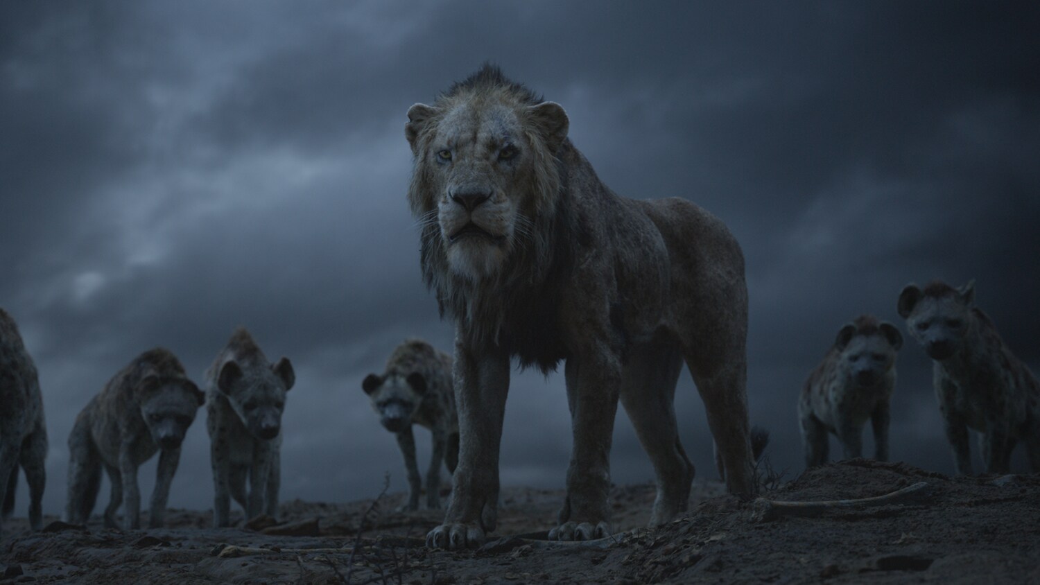 Aslan in The Chronicles of Narnia Looks So Much Better Than the CGI Lions  in The Lion King