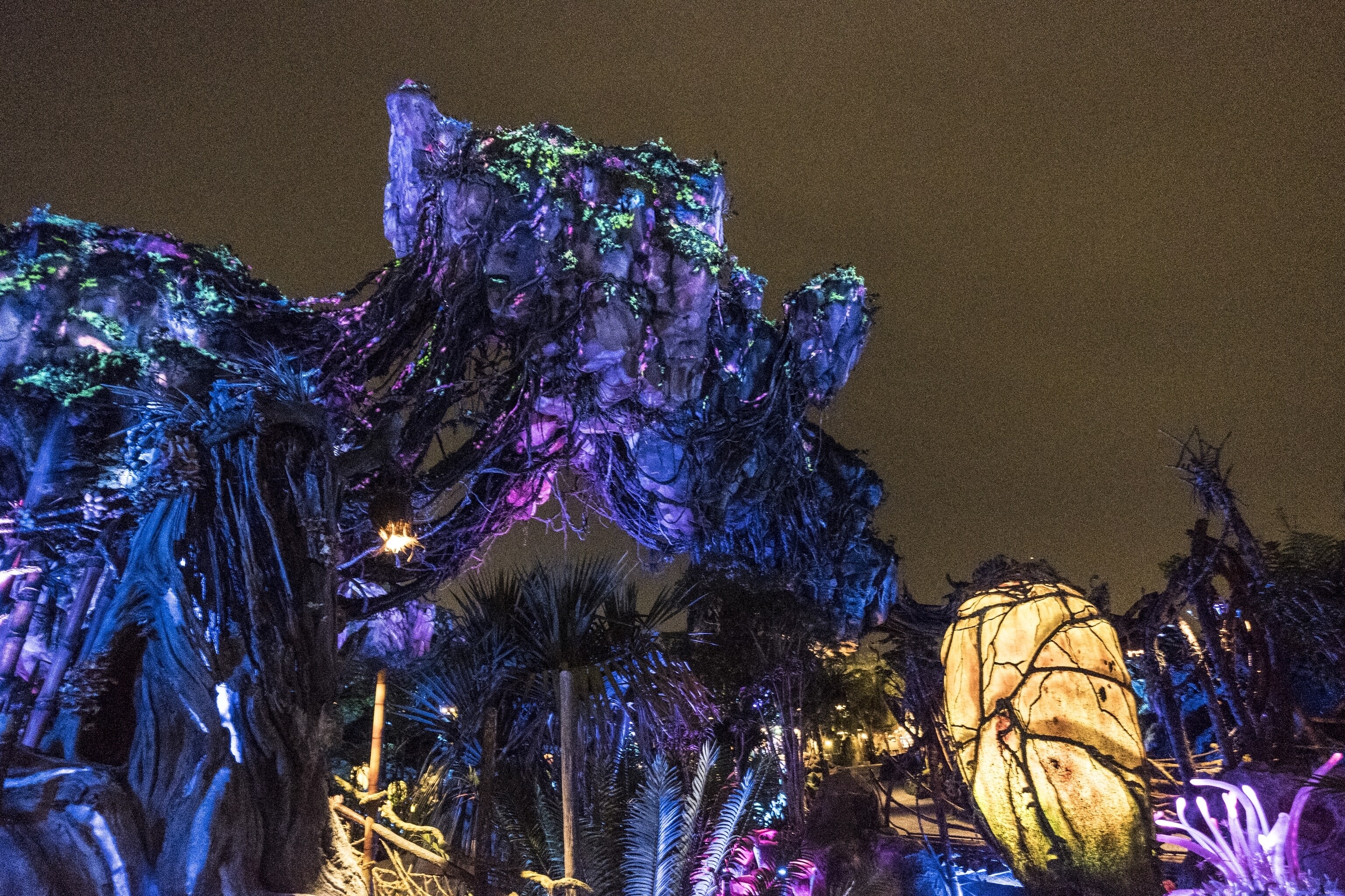 Pics: Pandora - World of Avatar at Disney's Animal Kingdom