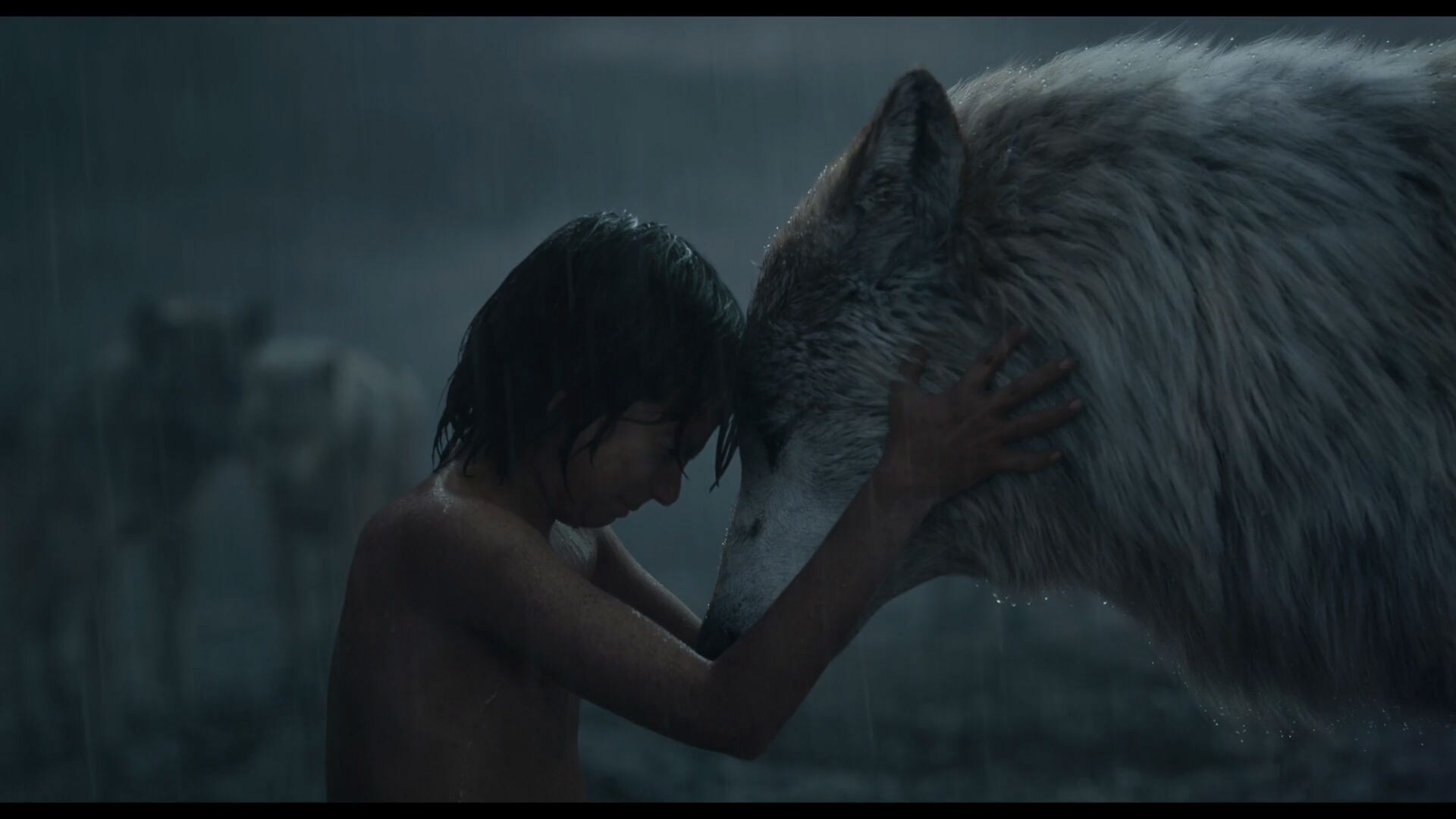 The Jungle Book 2016 Disney Movies