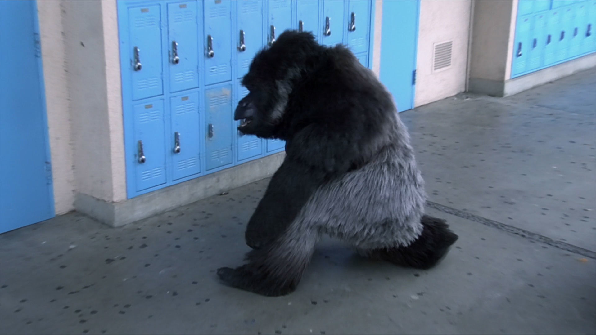 School Gorilla