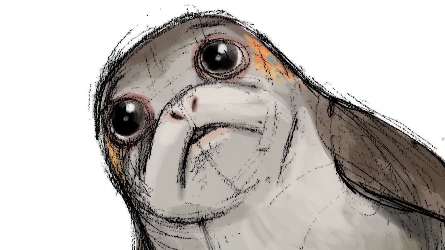 Introducing Porgs, the Cute New Creatures from Star Wars: The Last Jedi