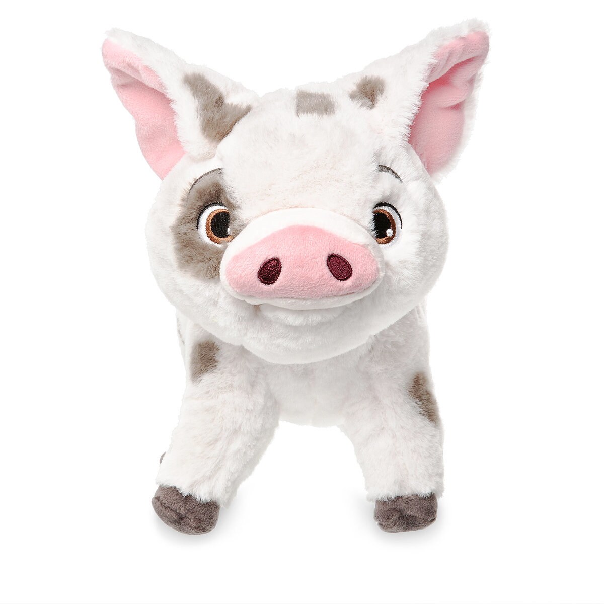 What S The Pig S Name In Moana 99 Degree What S The Pig S Name In Moana 99 Degree