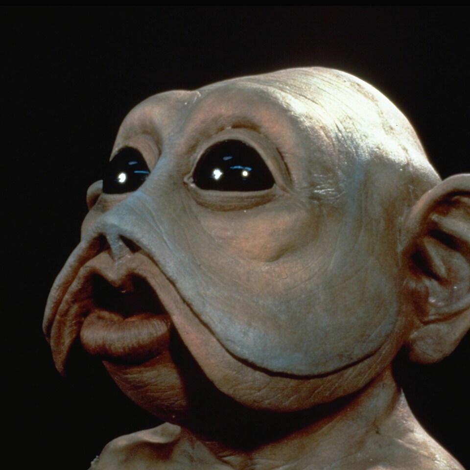 Much To Learn You Still Have Starwars Com