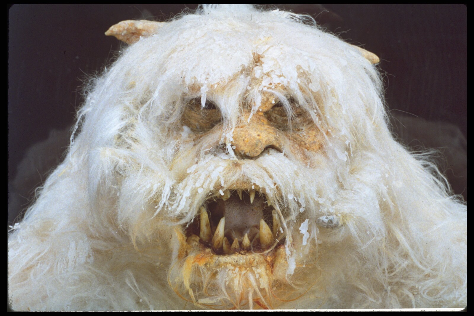 Creature Feature 6 Things You May Not Know About Wampas