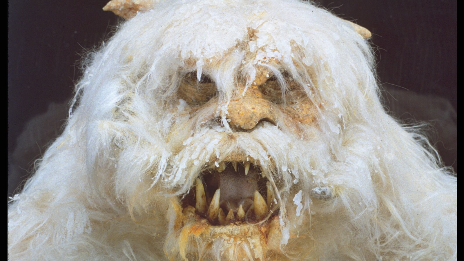 Creature Feature: 6 Things You May Not Know About Wampas