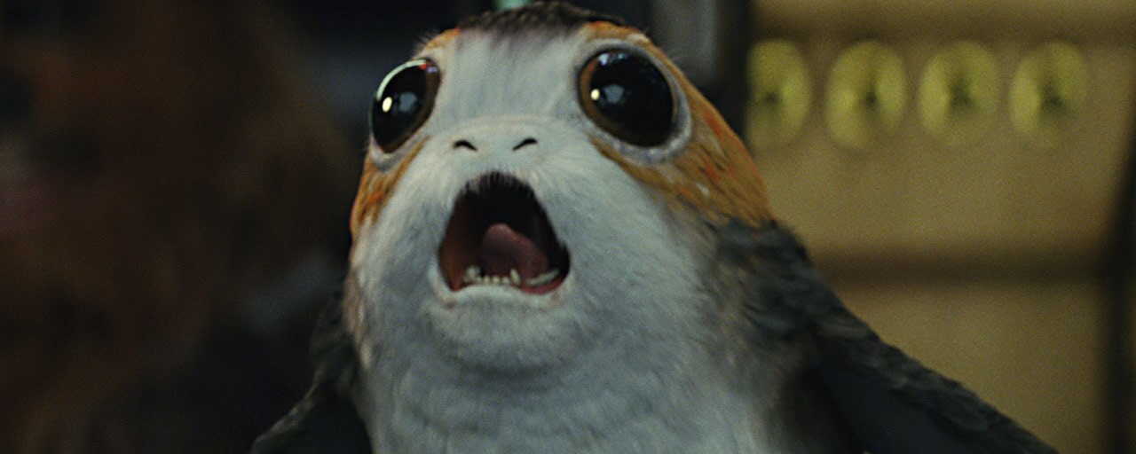 A porg with its mouth agape in The Last Jedi.