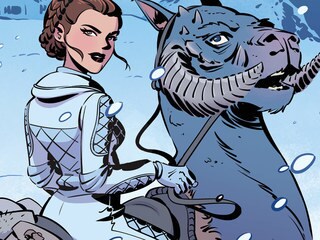 How IDW Celebrated Our Favorite Princess with Star Wars Forces of Destiny: Leia