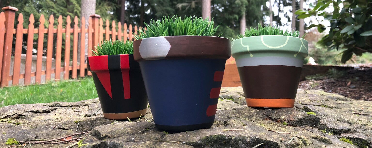 Three DIY painted pots decorated with a Star Wars spin and plants in them.
