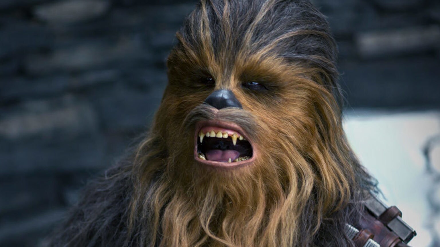 Poll: What Is Chewbacca's Greatest Moment So Far?