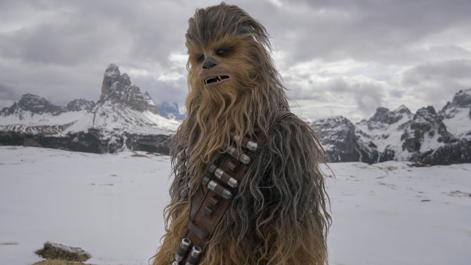 Quiz: What Percent Chewbacca Are You?