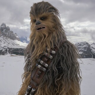 Quiz: What Percent Chewbacca Are You?