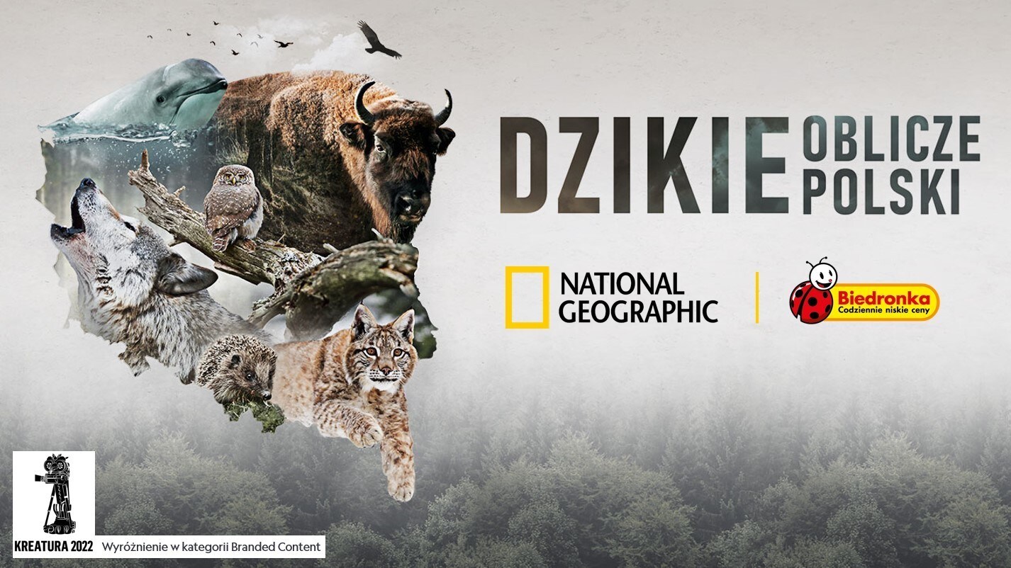 National Geographic x Biedronka
