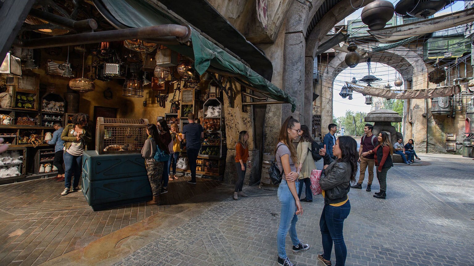 7 Tips for Visiting Star Wars: Galaxy’s Edge