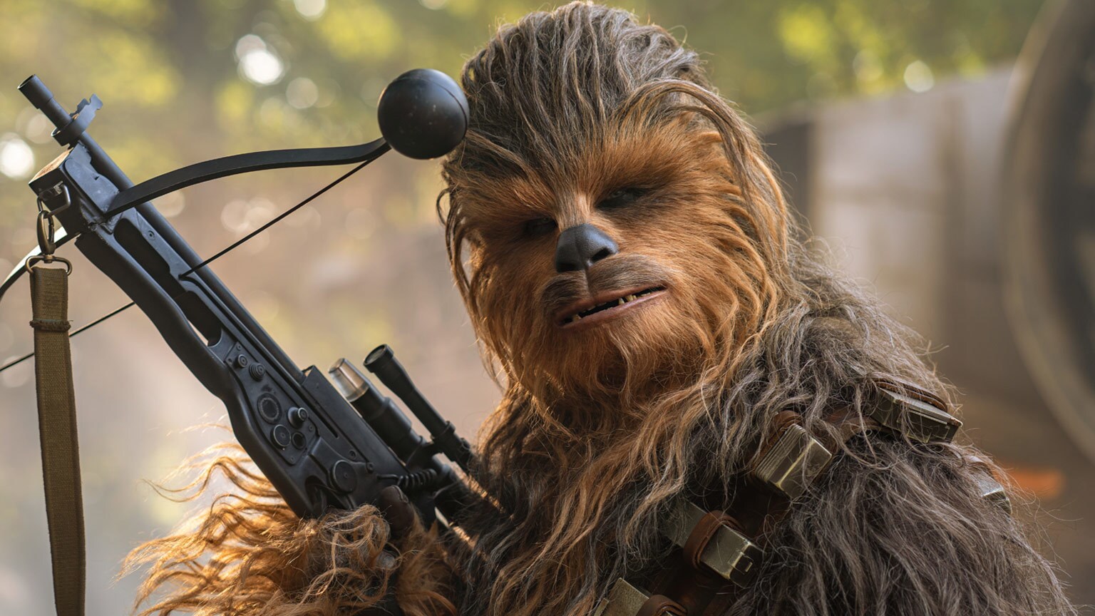5 Reasons Why Chewbacca is the Best Friend in the Galaxy