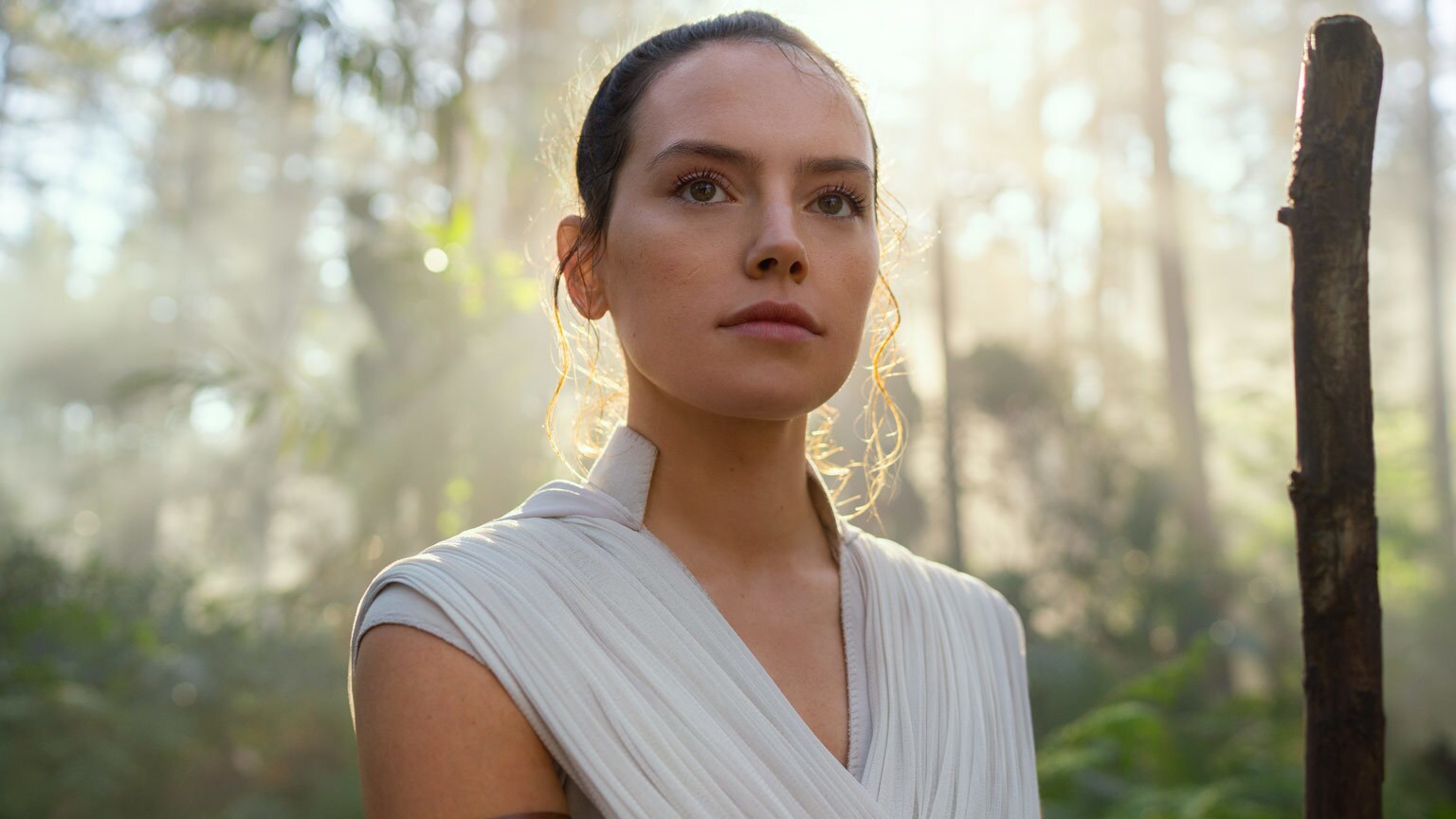 Star Wars Day 2020: The Rise of Skywalker lands early on Disney+ - Vox