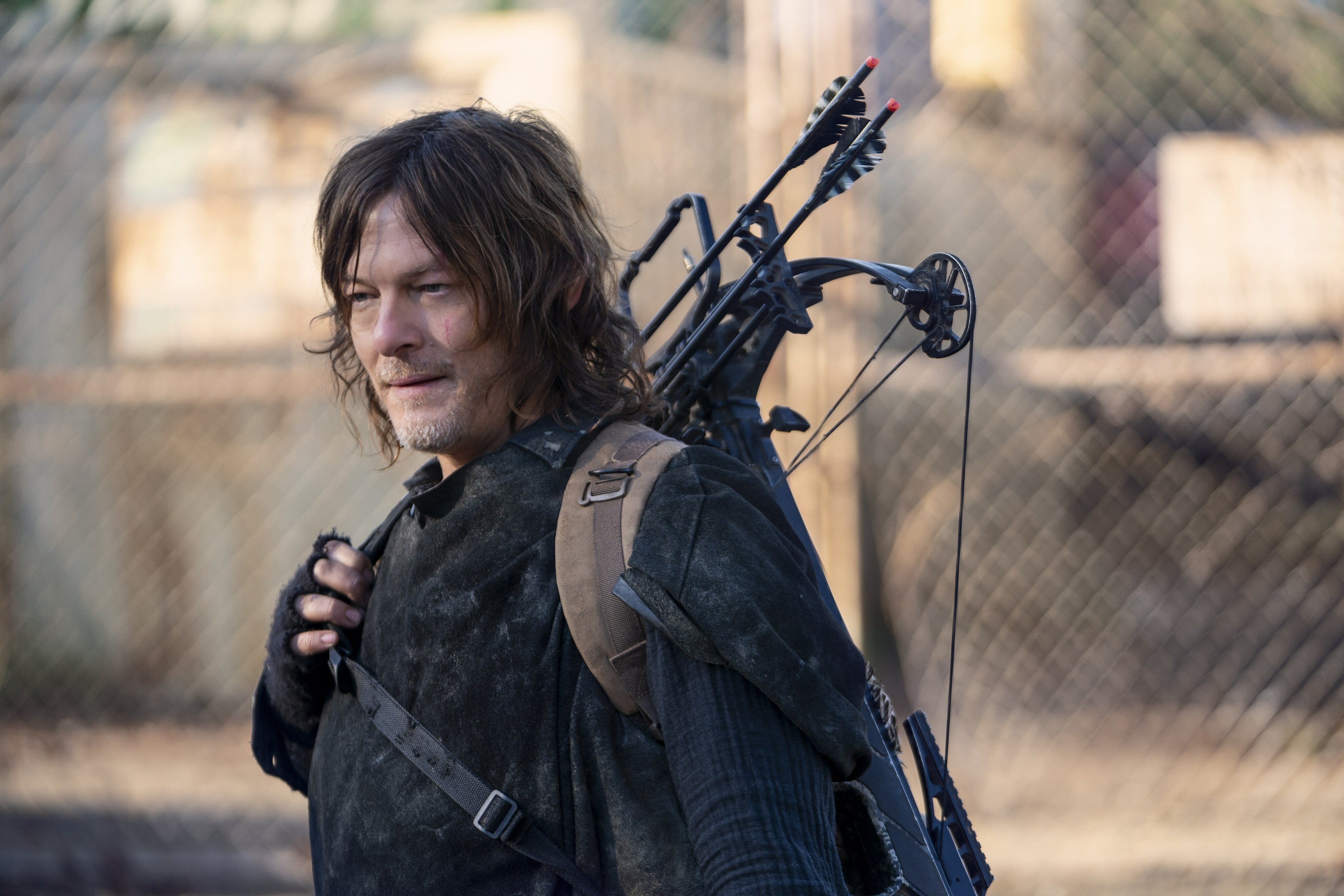 Daryl Dixon Daryl Dixon