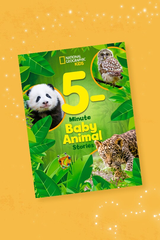 Decorative image of National Geographic Kids 5-Minute Baby Animal Stories book cover