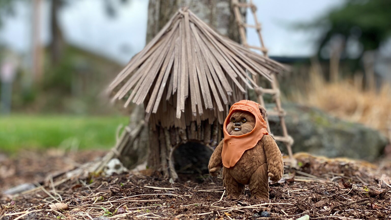 Reuse, Recycle, and Return (of the Jedi): Make an Upcycled Ewok “Fairy” House
