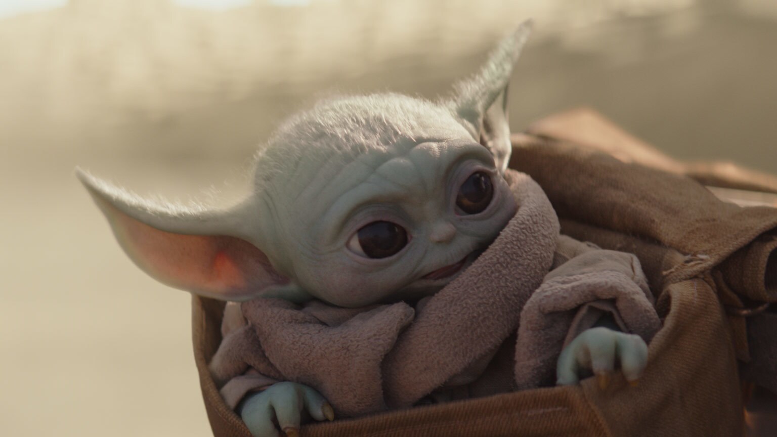 Quiz: Which Star Wars Alien Should Be Your Summer Road Trip Buddy?