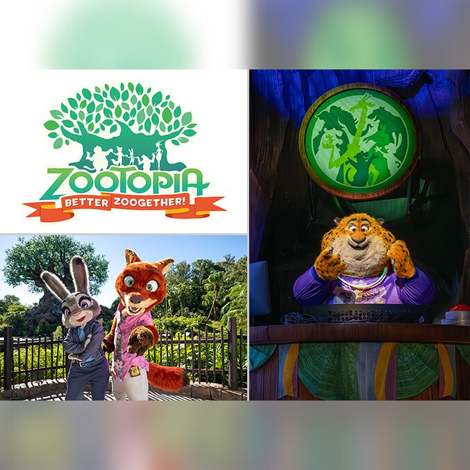 フロリダ限定 ズートピア新アトラクション オープン記念バッジ