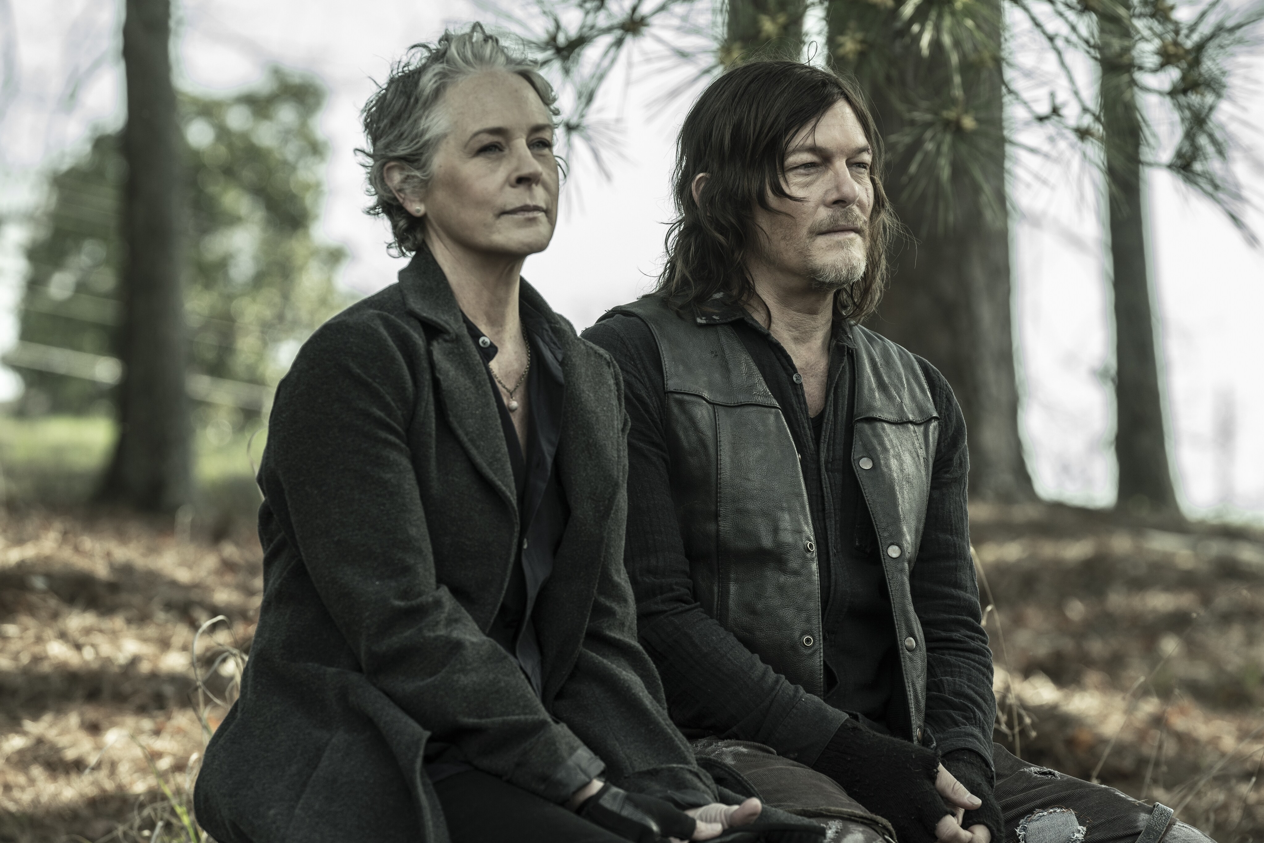 Daryl Dixon Daryl Dixon