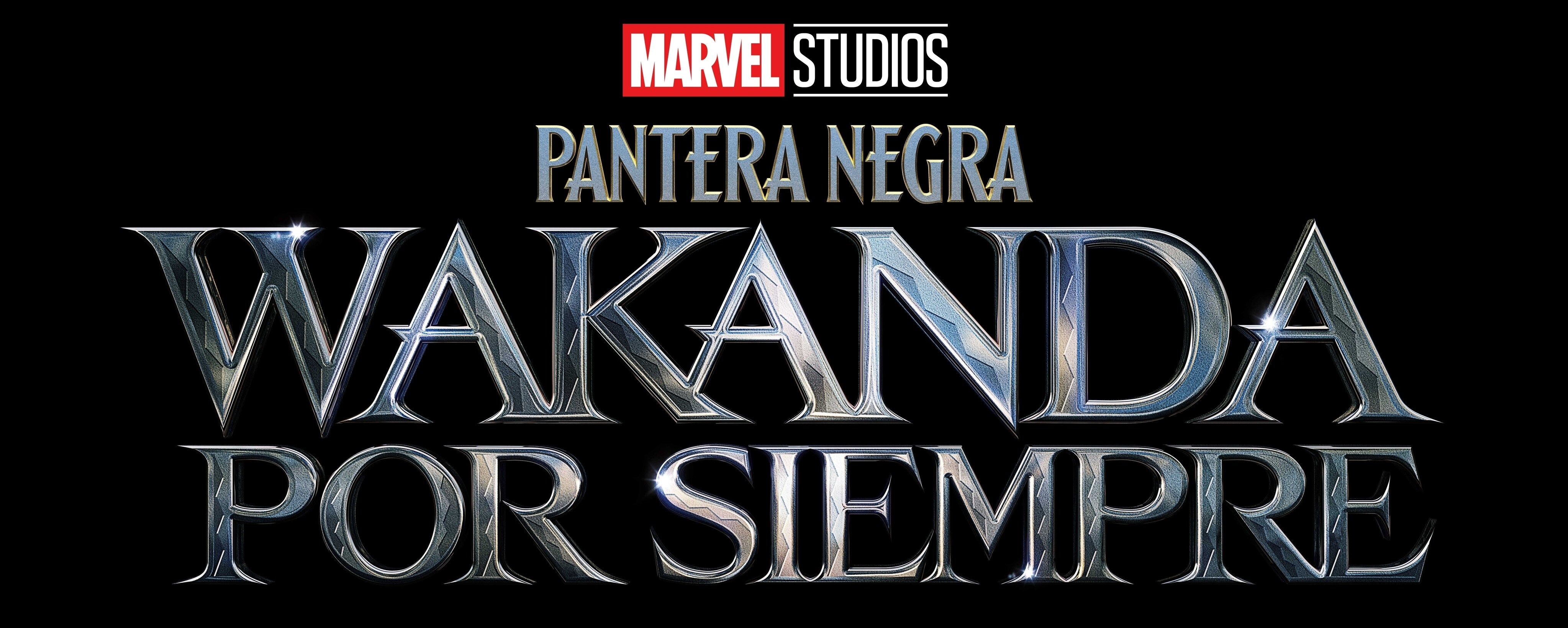 Black Panther, Wakanda Forever
