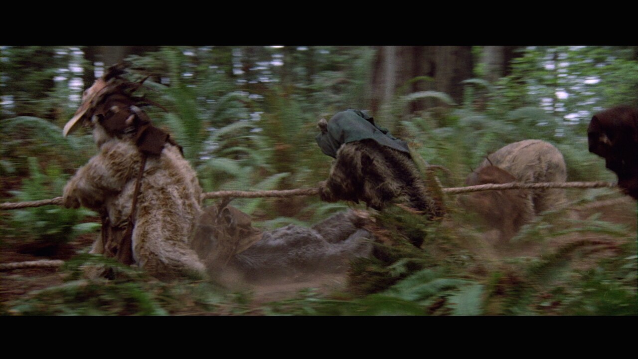 The Ewoks came to rebels’ rescue after their capture, attacking the Imperials with bows and axes....