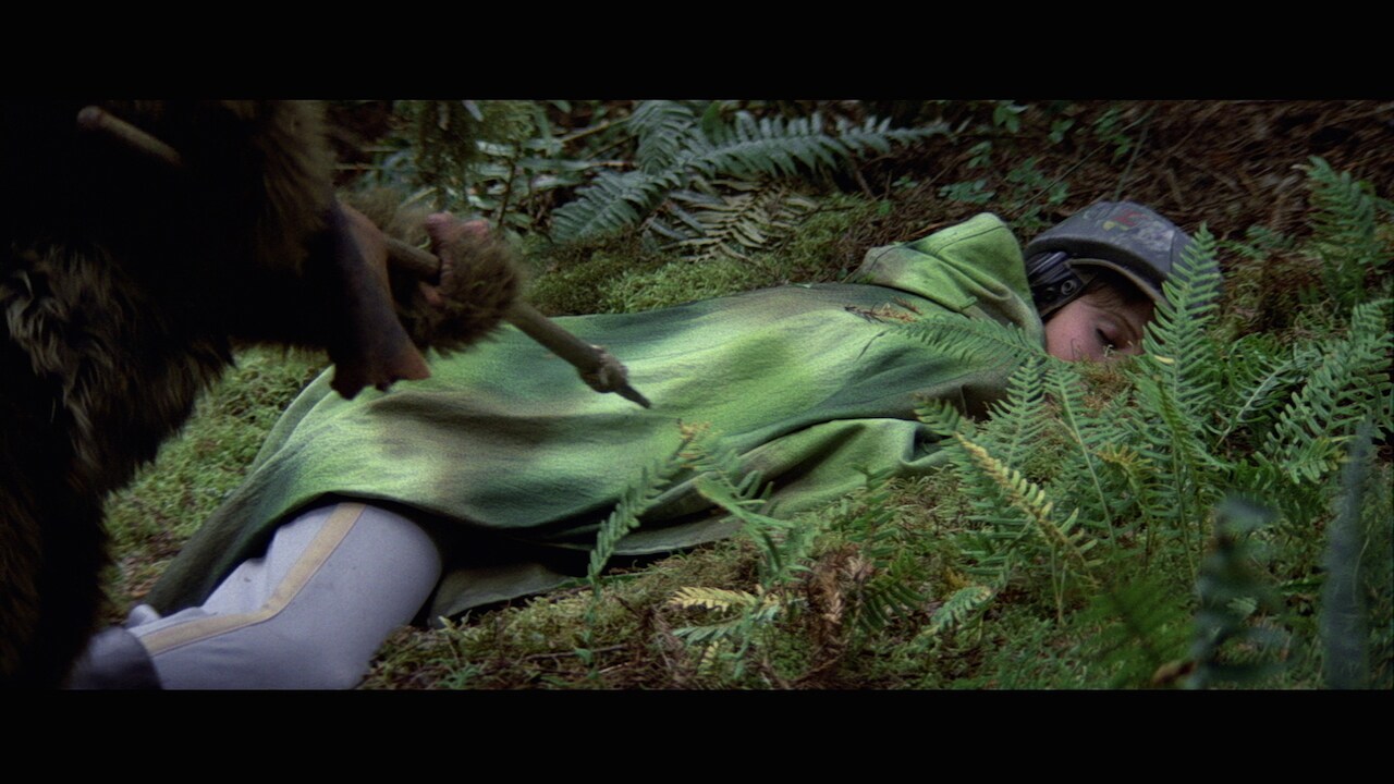 But the forest held other dangers. Leia lost control of her bike after an Imperial scout fired at...