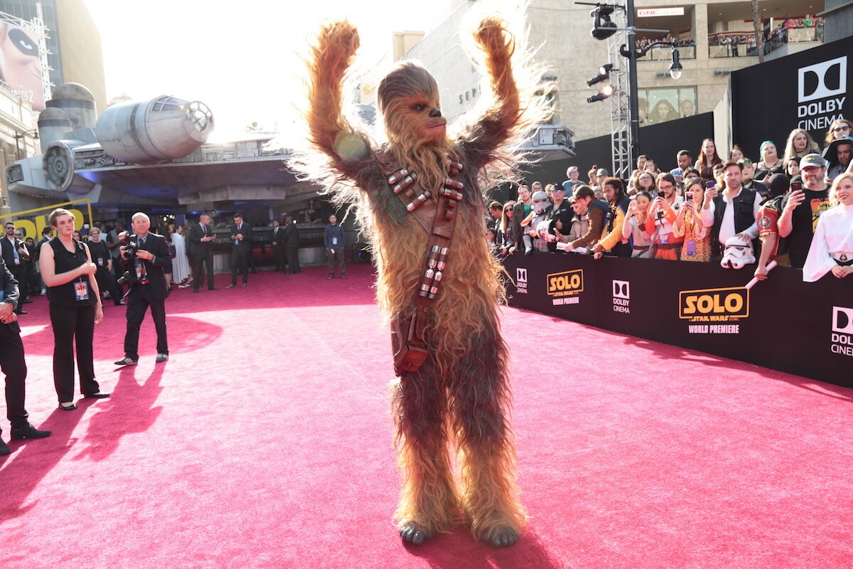 Star Wars Solo Film Chewbacca Chewie Wookie interaktive Plüschfigur NEU & OVP 