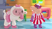 Can't Keep a Good Hippo Down